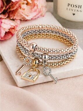 NWOT Women's Fashion Jewelry 3 Piece Silver Rose Locks Keys Bangle Bracelet